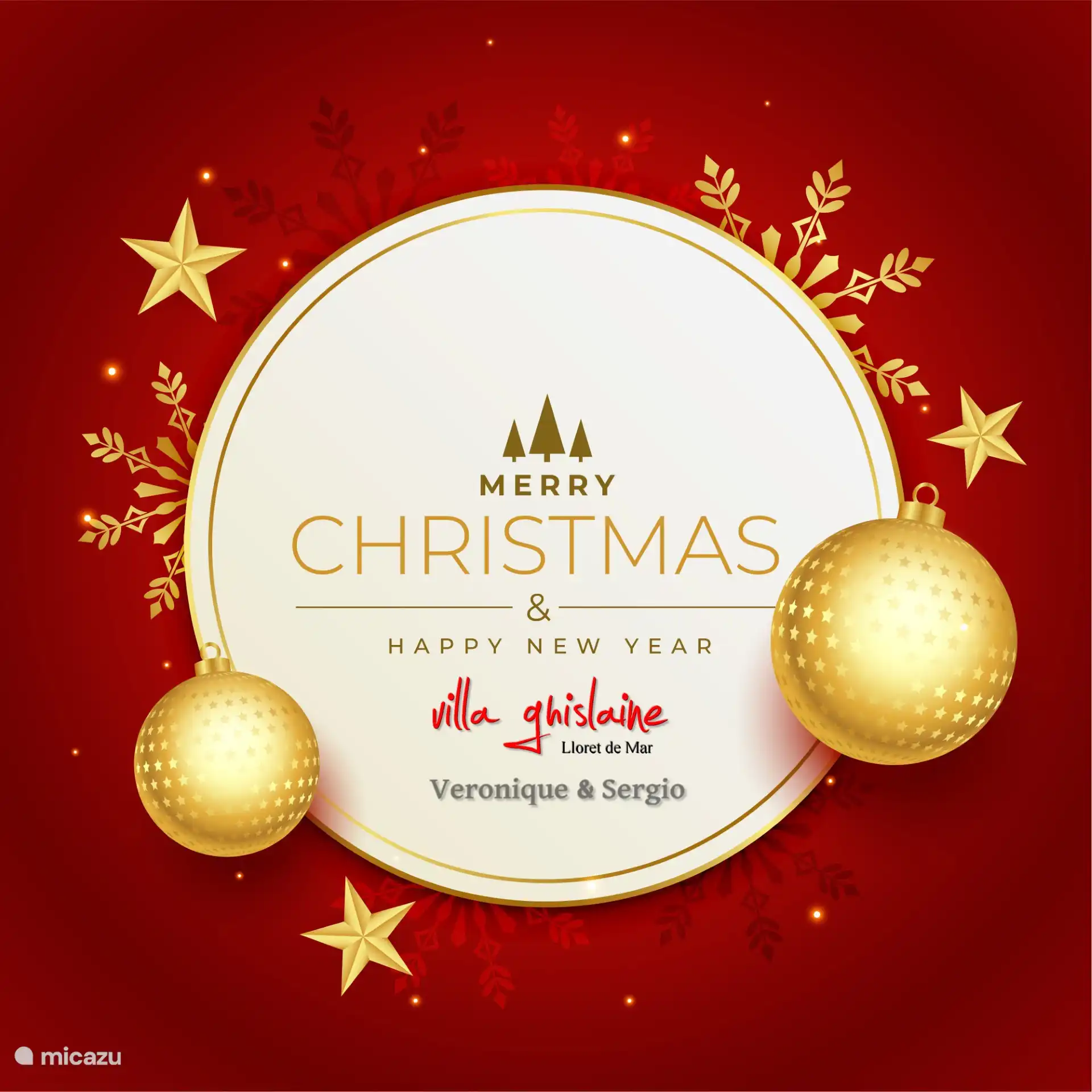 ZALIG KERSTMIS EN GELUKKIG NIEUWJAAR!!!