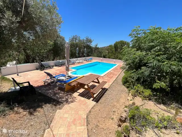 Casa Palmeira - Casa Cameleao | Portugal, Algarve, Moncarapacho - finca Piscine pour bronzer.