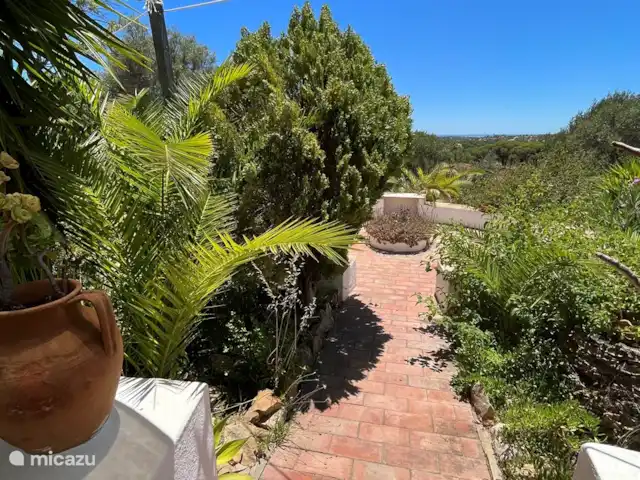 Casa Palmeira - Casa Cameleao | Portugal, Algarve, Moncarapacho - finca Une autre belle terrasse.