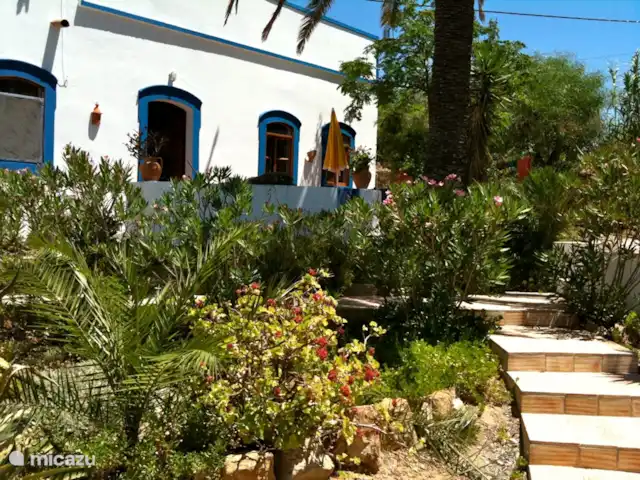 Casa Palmeira - Casa Cameleao | Portugal, Algarve, Moncarapacho - finca Casa Palmeira, jardin fleuri.