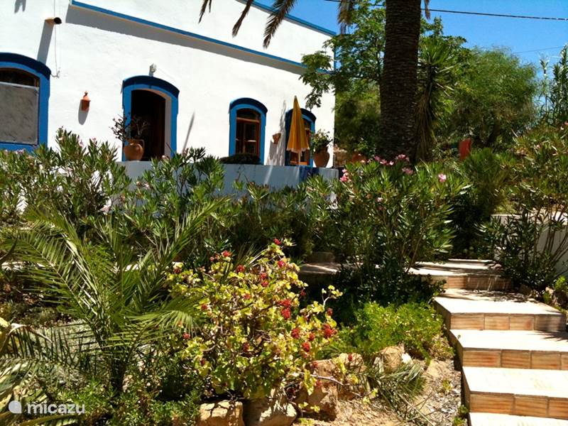 Ferienwohnung Portugal, Algarve, Moncarapacho Finca Casa Palmeira - Casa Cameleao