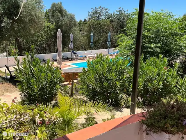 Casa Palmeira - Casa Cameleao | Portugal, Algarve, Moncarapacho - finca Piscine avec beau jardin.