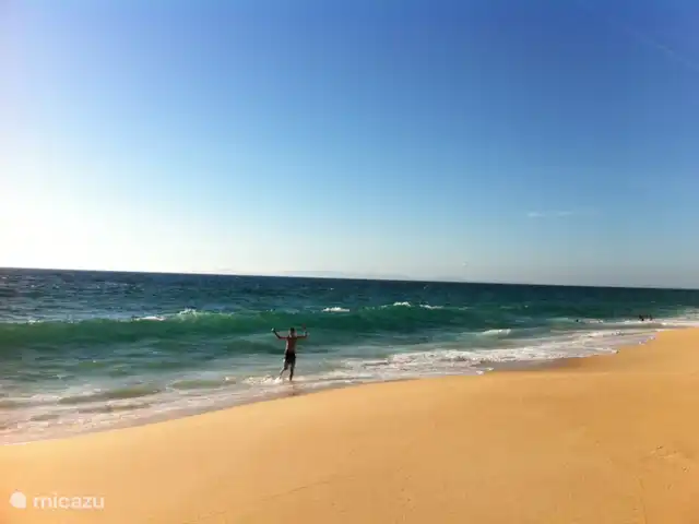 Casa Palmeira - Casa Cameleao | Portugal, Algarve, Moncarapacho - finca Plage d'Ilha de Fuseta.