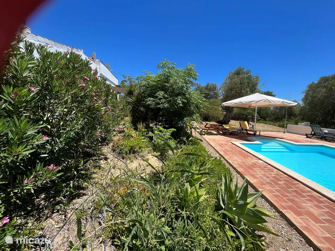 Casa Palmeira - Casa Cameleao | Portugal, Algarve, Moncarapacho - Finca