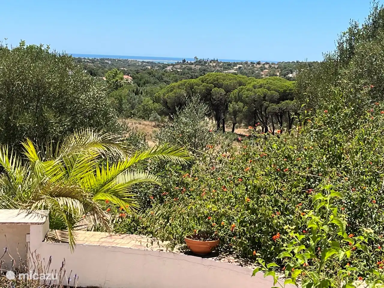 Casa Palmeira - Casa Cameleao | Portugal, Algarve, Moncarapacho - Finca
