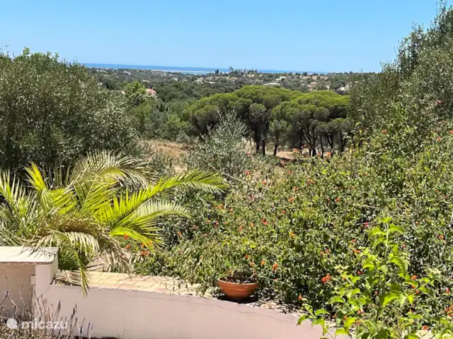 Casa Palmeira - Casa Cameleao | Portugal, Algarve, Moncarapacho - finca Superbe vue sur l'océan Atlantique.