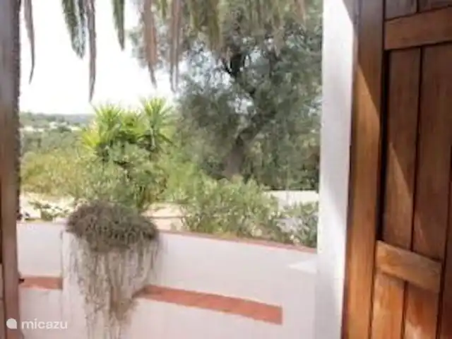 Casa Palmeira - Casa Cameleao | Portugal, Algarve, Moncarapacho - finca Vue de la cuisine, Casa Cameleao