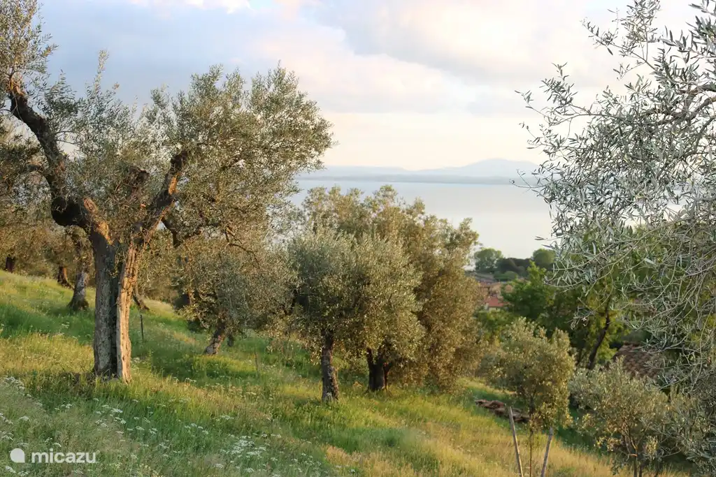 Sonnenuntergang am See