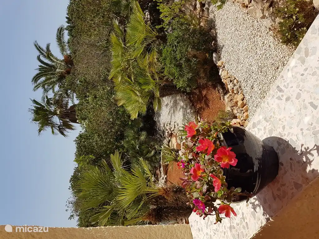 Couleurs florales d'été