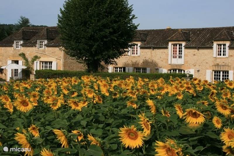 Vacation rental France, Dordogne, Saint-Vincent-de-Cosse Holiday house Le Merle