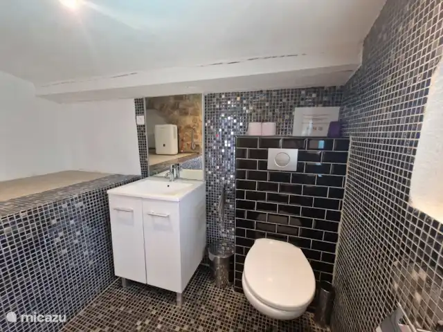 Torre Hameau des Claudins nº 9 en Francia, Costa Azul, Le Plan-de-la-Tour - casa vacacional Cuarto de baño con lavabo, ducha e inodoro