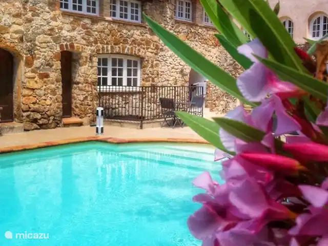 Torre Hameau des Claudins nº 9 en Francia, Costa Azul, Le Plan-de-la-Tour - casa vacacional Detalle de piscina con orleandros