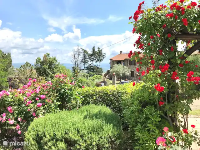Location de Vacances Italie, Toscane, Montecatini Val Di Cecina, appartement - CERVO-2 Le grand jardin autour de la maison d’environ 0,5 ha.