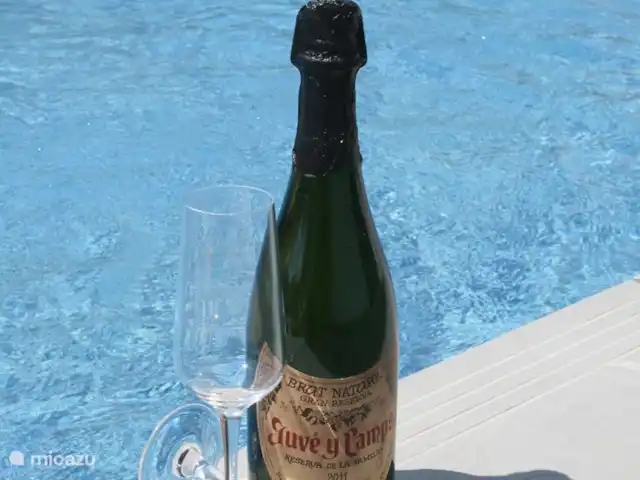 Location de Vacances Espagne, Costa Blanca, Ciudad Quesada, villa - Villa Entre Lagos Cava de la région