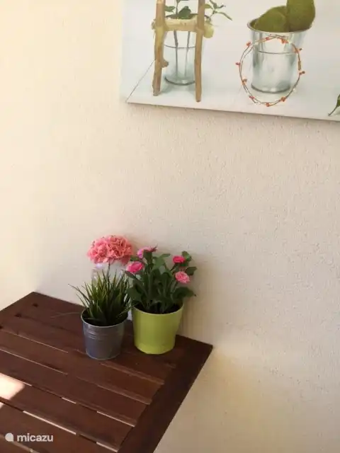 Détail de la terrasse