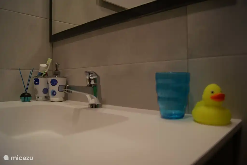 Détail salle de bain