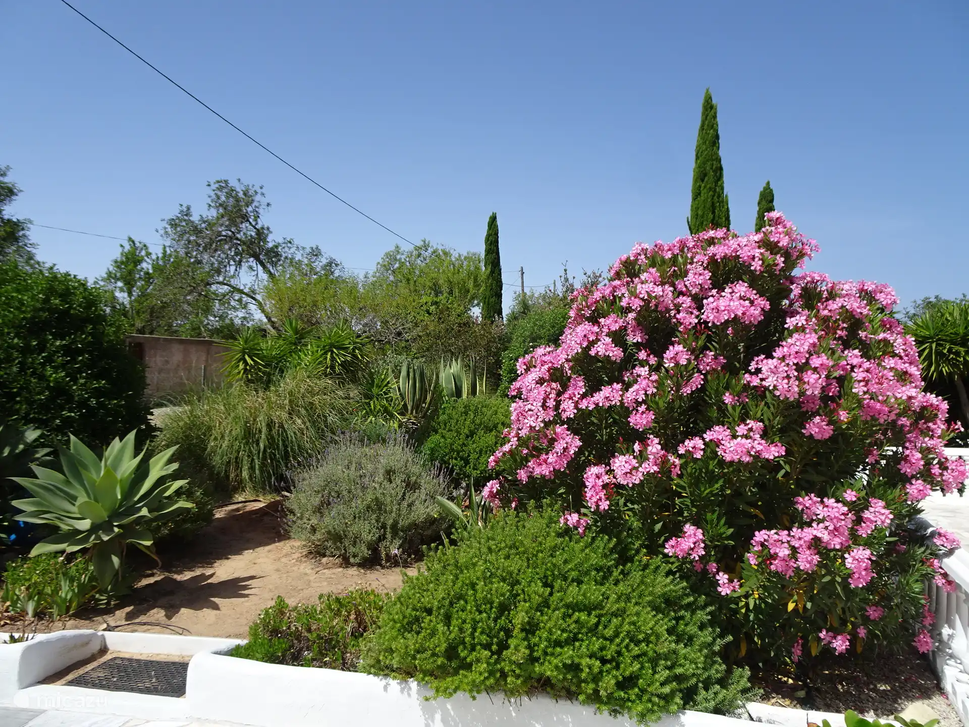 Beautiful mature garden for the Quinta