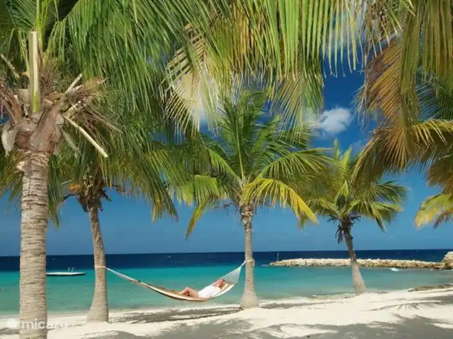 Location de Vacances Curaçao, Curaçao-Centre, Blue Bay, villa - Blue Bay Paradise Profitez de la douceur de vivre de ce magnifique complexe avec l'une des plus belles plages des Caraïbes.Le restaurant Azzurro propose une carte variée et le Beach Bar propose un délicieux cocktail rafraîchissant.