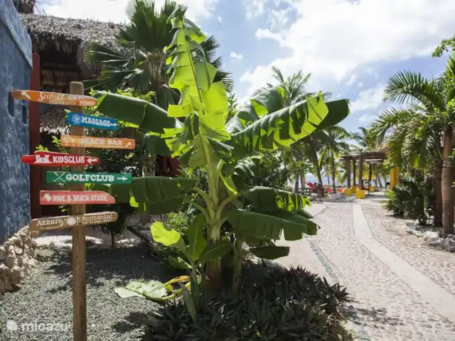 Location de Vacances Curaçao, Curaçao-Centre, Blue Bay, villa - Blue Bay Paradise Activités