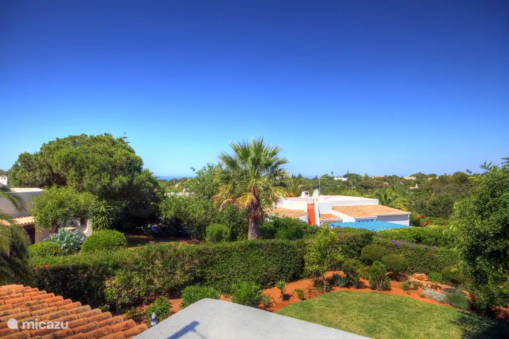 View from the rooftop