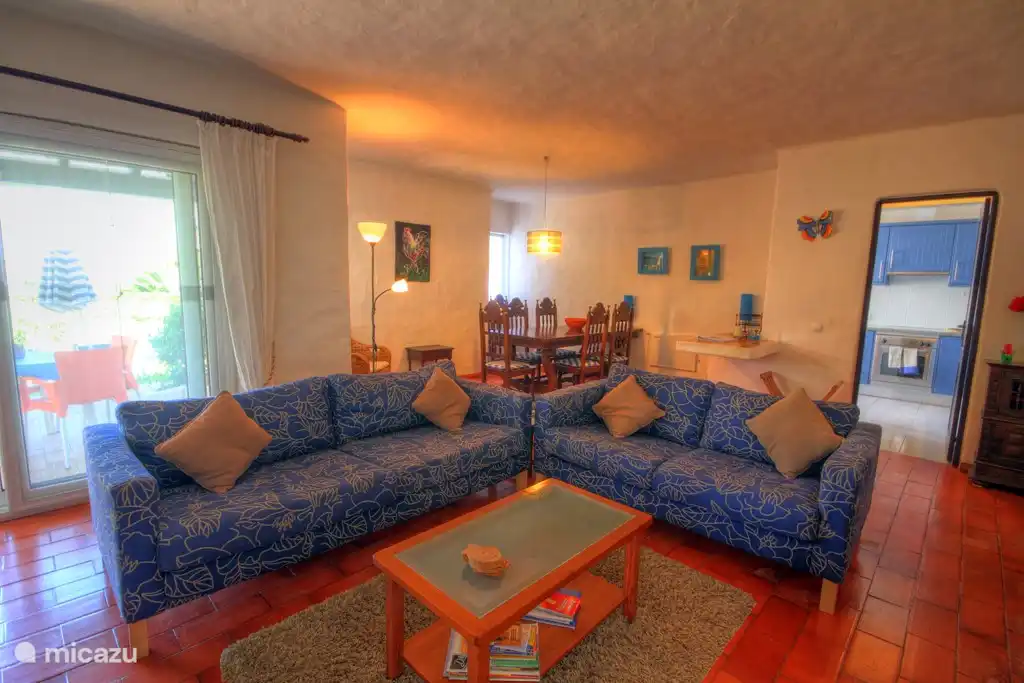 The spacious living room with satellite TV, circulating fireplace, dining area and nice sofas.