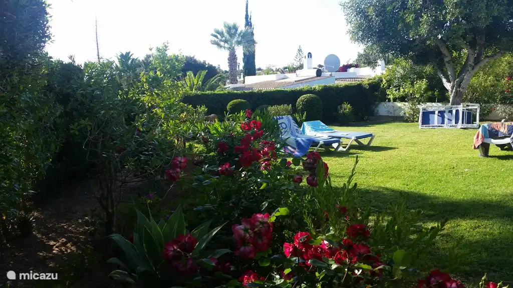 Bloei in het voorjaar