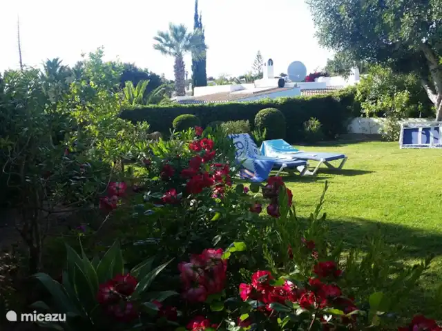 Os Quatros, Quinta do Paraíso | Portugal, Algarve, Carvoeiro - villa Floraison au printemps