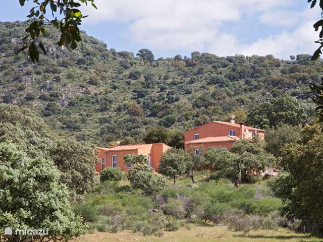 Holiday home in Spain, Extremadura, Arroyomolinos - holiday house Finca el Rabilargo - la encina