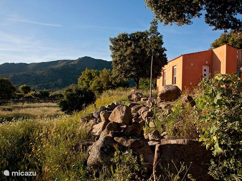 Ferienwohnung Spanien, Extremadura, Arroyomolinos Ferienhaus Finca el Rabilargo - la encina