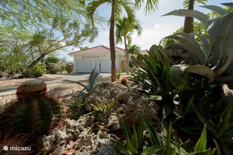 Vacation rental Curaçao, Banda Abou (West), Cas Abou Villa Villa Barbulete