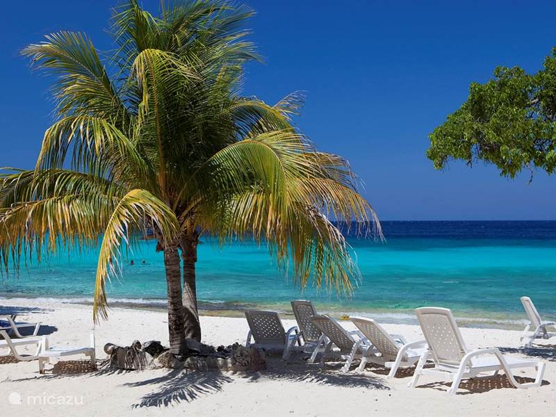 Ferienwohnung Curaçao, Banda Abou (West), Cas Abou Villa Villa Barbulete