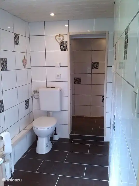 Badezimmer mit WC, Waschbecken und ebenerdiger Dusche im Obergeschoss