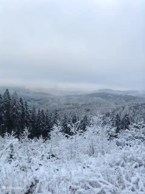 Aussicht auf die Umgebung im Winter