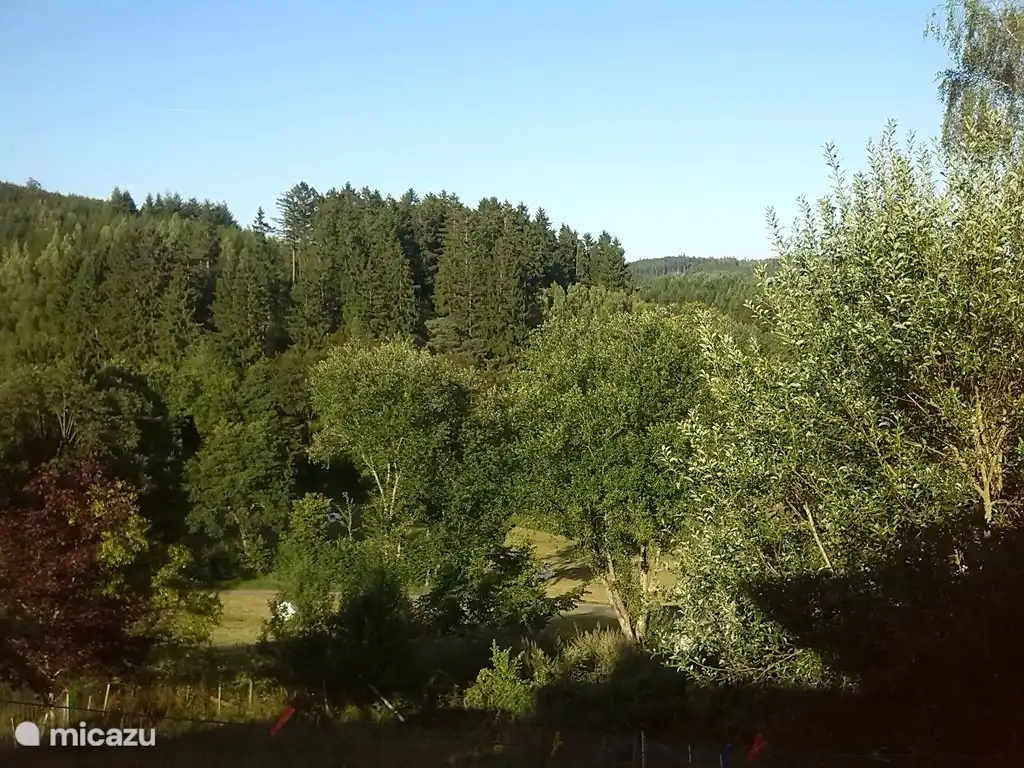 Blick aus dem Esszimmer (Sommer)