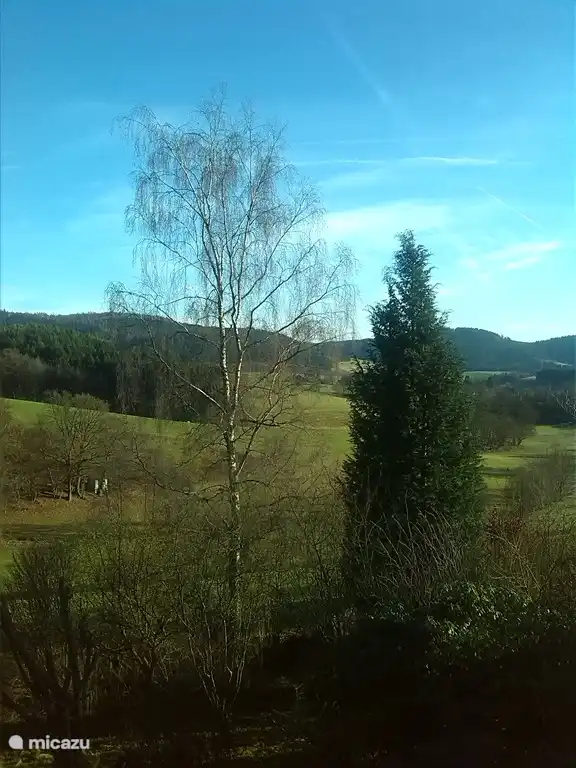 Blick aus dem Schlafzimmer im Erdgeschoss