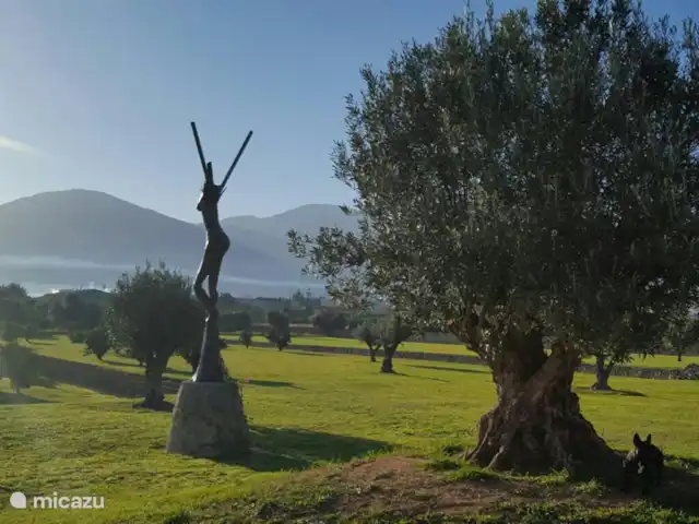 Manzanas de Naranja | Espagne, Costa Blanca, Pego - appartement Jardin