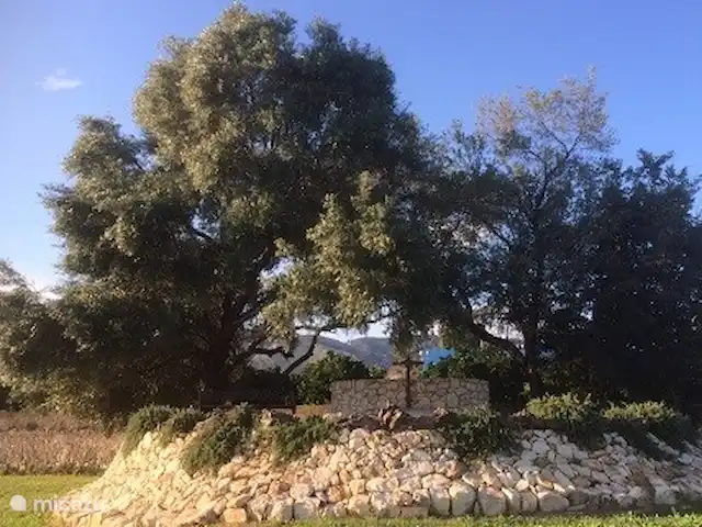 Manzanas de Naranja | Espagne, Costa Blanca, Pego - appartement Puits d'eau