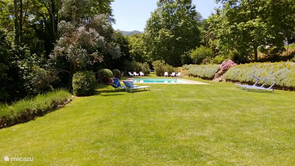 Der Garten vom Haus gesehen