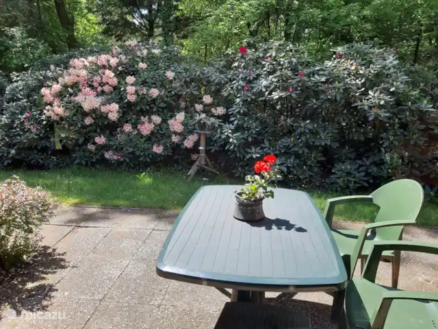 Caravansérail | Pays-Bas, Gueldre, Winterswijk - bungalow Rhododendron en fleurs