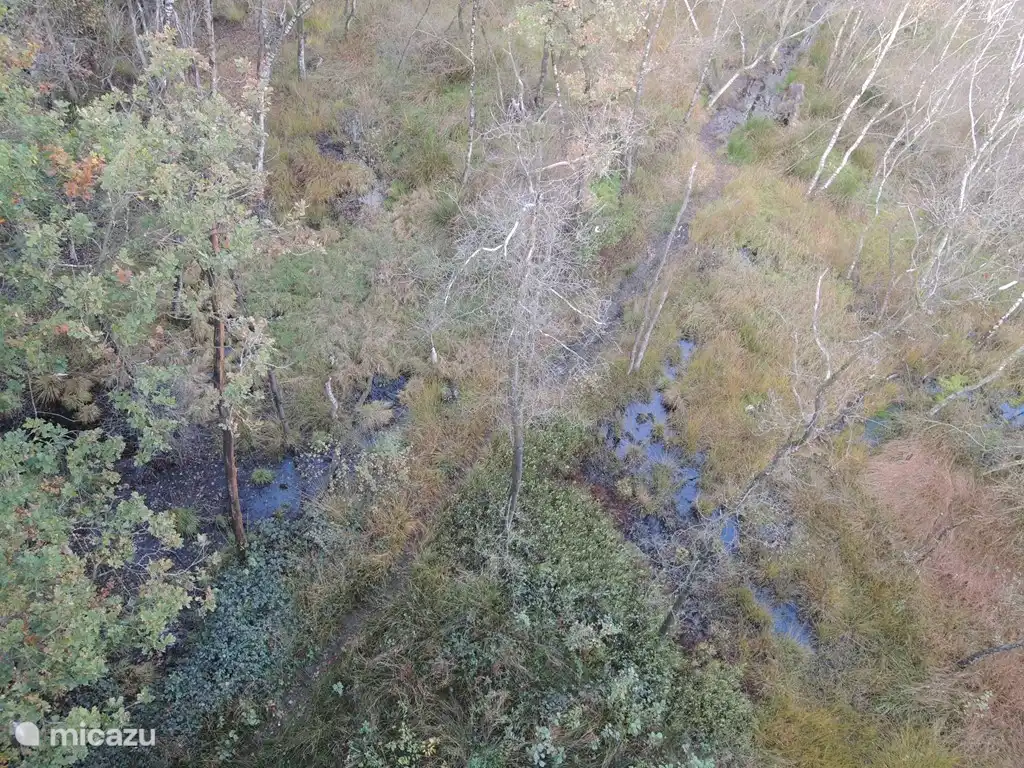 The view of the Korenburgerveen from the watchtower.