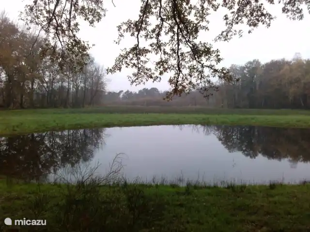 Caravansérail | Pays-Bas, Gueldre, Winterswijk - bungalow Korenburgerveen