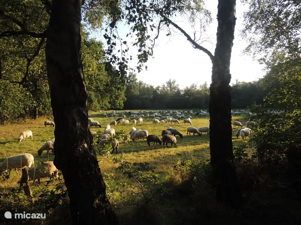 A wonderful cycling and walking environment I.