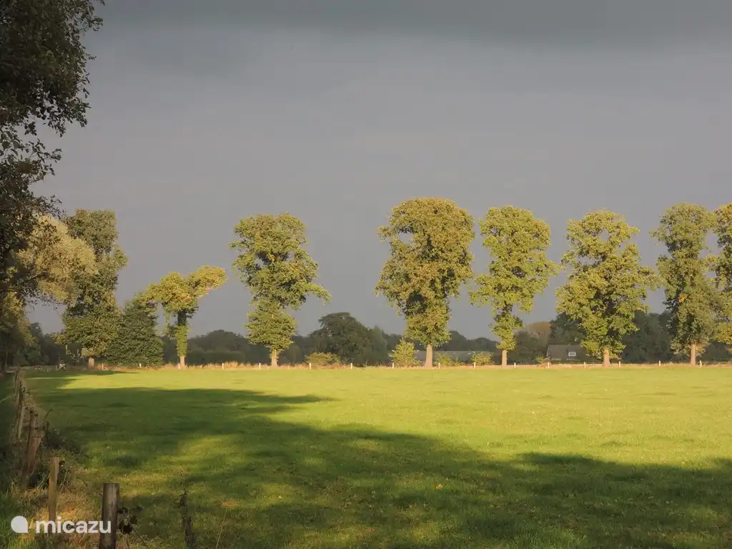 The sun shines before the storm.