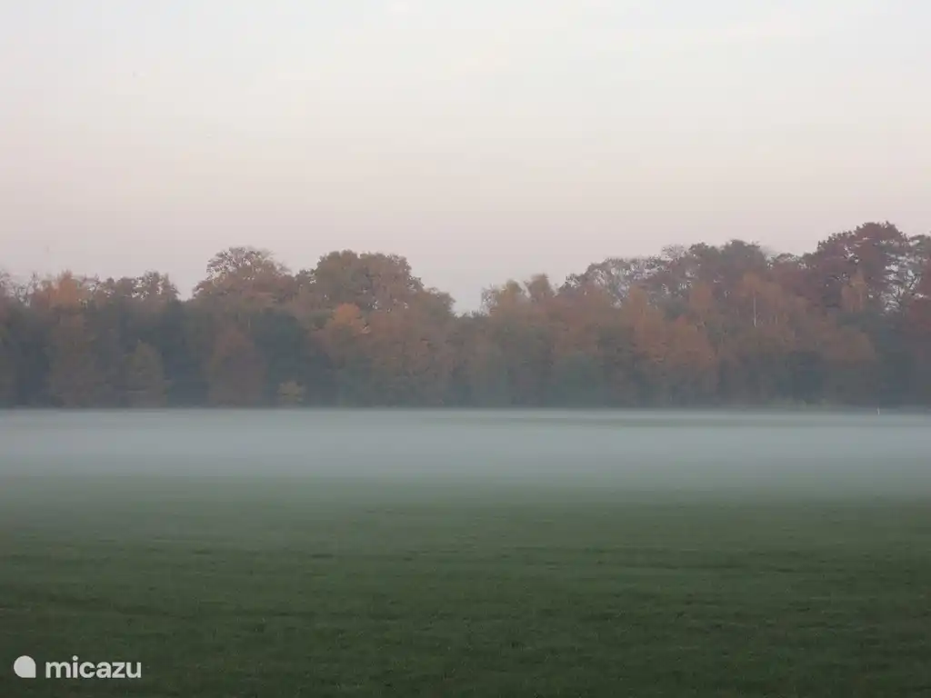 The fog on the field.