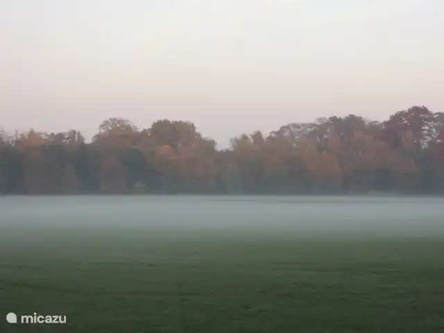 Caravansérail | Pays-Bas, Gueldre, Winterswijk - bungalow Le brouillard sur le terrain.