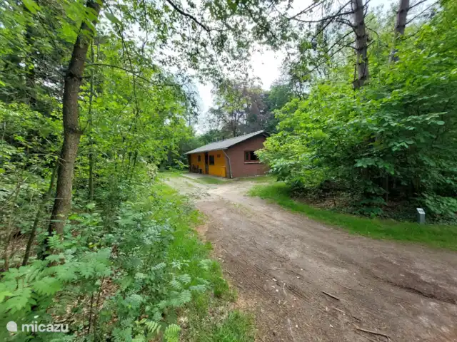 Caravansérail | Pays-Bas, Gueldre, Winterswijk - bungalow