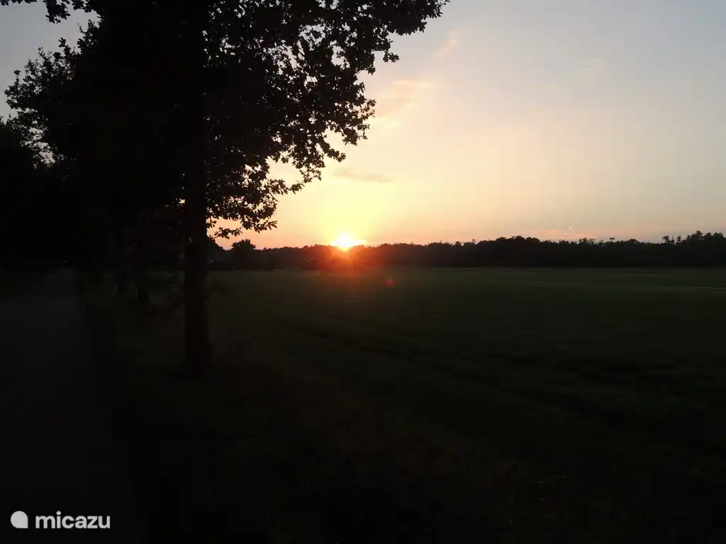 A wonderful cycling and walking environment IIII.