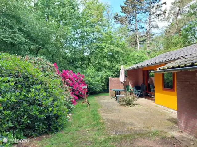 Caravansérail | Pays-Bas, Gueldre, Winterswijk - bungalow
