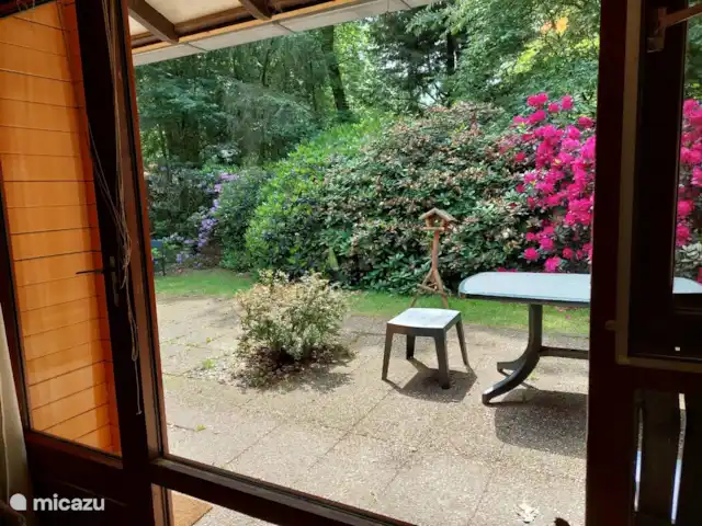 Caravansérail | Pays-Bas, Gueldre, Winterswijk - bungalow