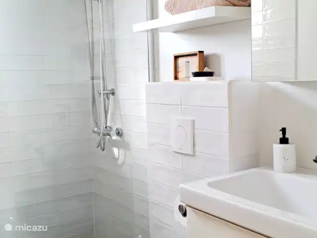 Location de Vacances Aruba, Oranjestad, San Barbola, maison de vacances - Cas Barbola, maison avec piscine privée Salle de Bains